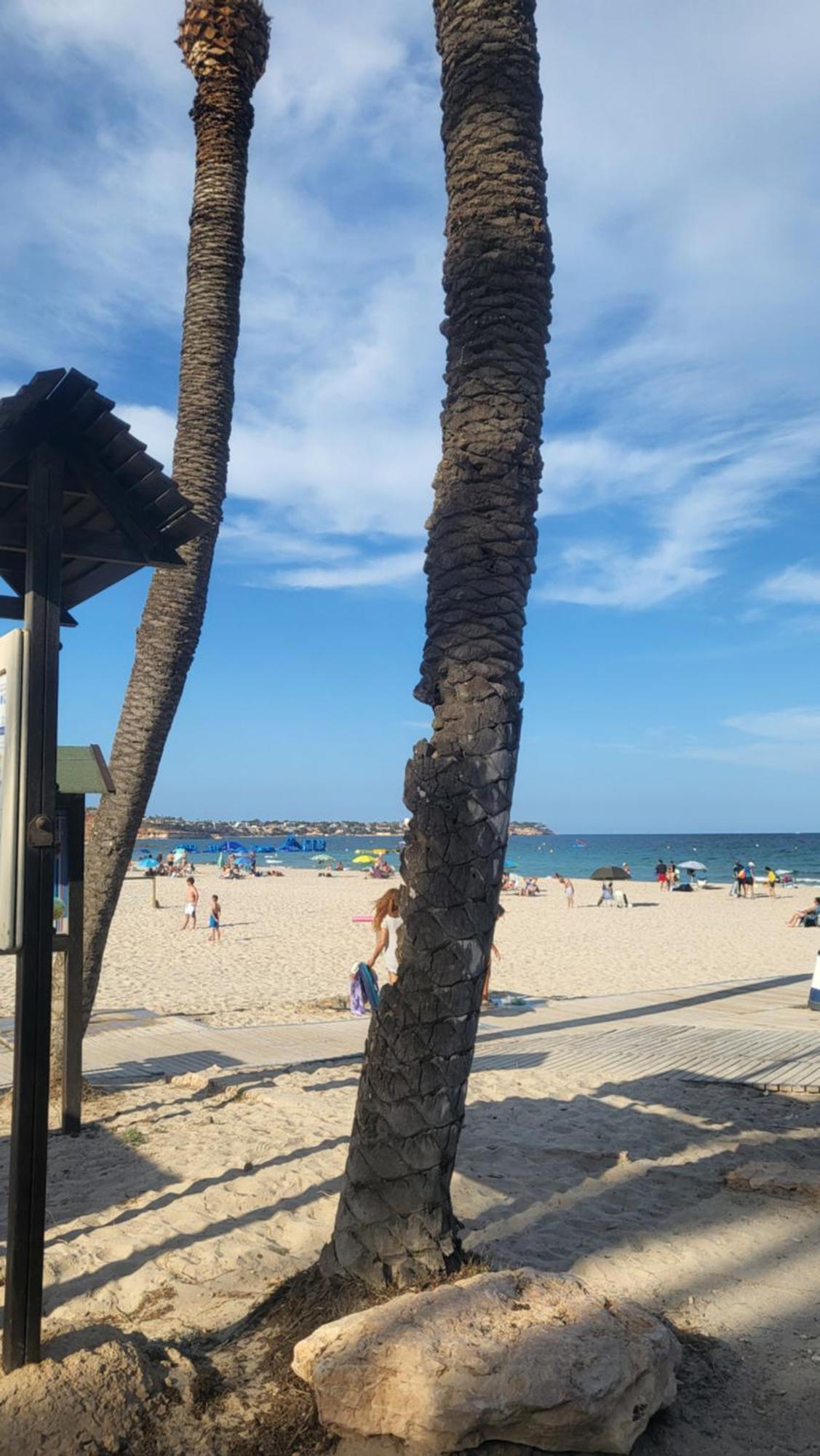 Apartamento Ines, Dehesa De Campoamor,900M From The Sea , Swimming Pool & Tennis Court Eksteriør bilde